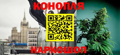 мяу мяу мука Кунгур