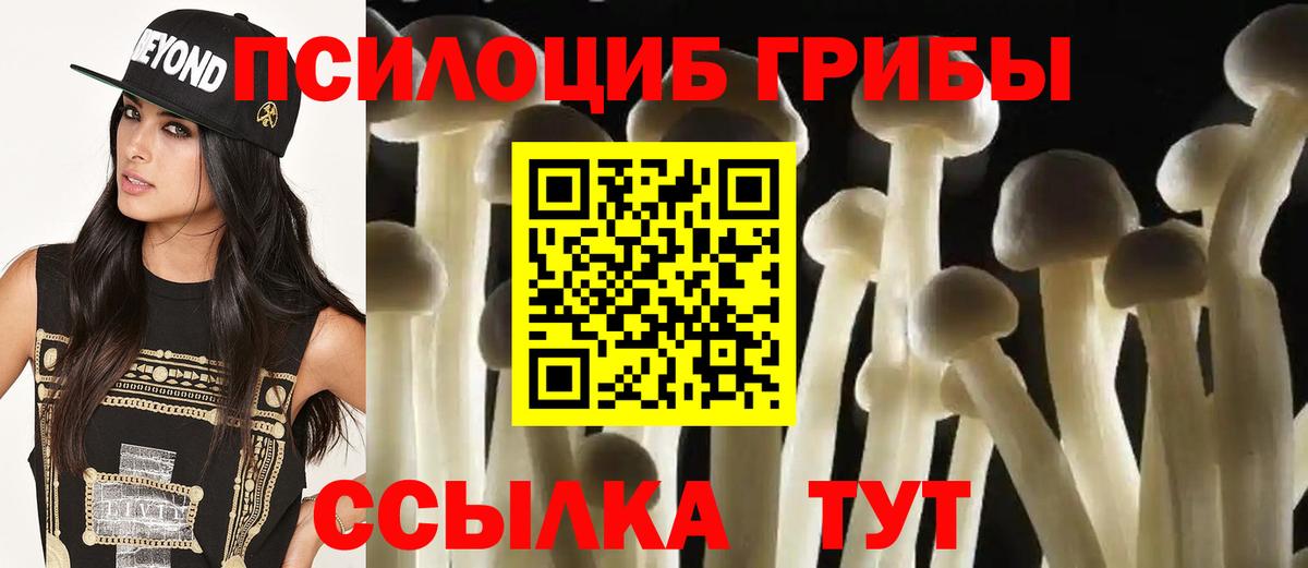 Галлюциногенные грибы MAGIC MUSHROOMS  Вход с VPN  Калининград 