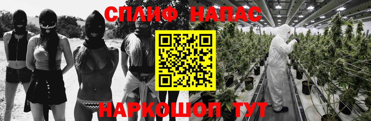 Бошки марихуана семена  Бошки Шишки SATIVA & INDICA  Вход с VPN  Конопля Bruce Banner  Марихуана конопля  Калининград 